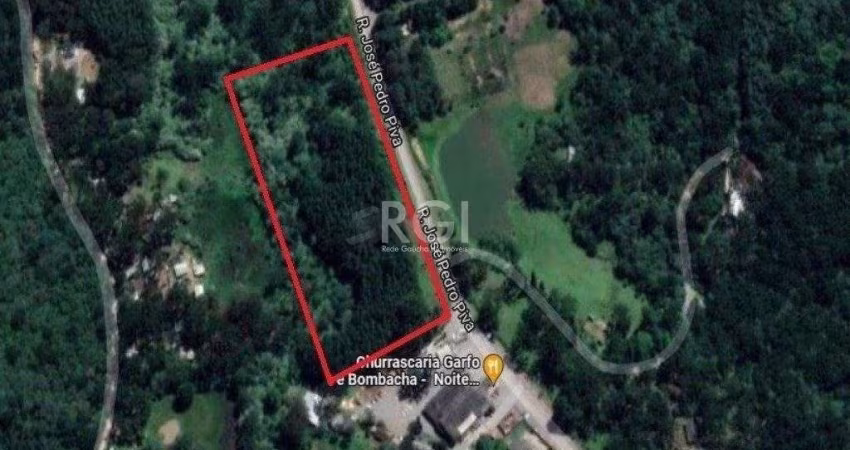 Terreno para Venda - 0m², 0 dormitórios, Bosque Sinossera