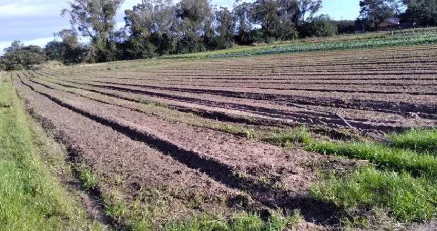 Terreno à venda na Avenida do Lami, 2762, Lageado, Porto Alegre