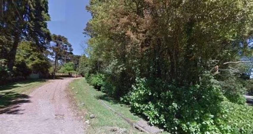 Terreno para Venda - 0m², 0 dormitórios, Vila Suzana