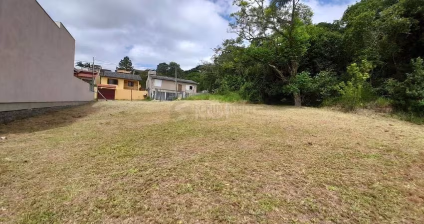 Terreno Residencial em Vila Nova