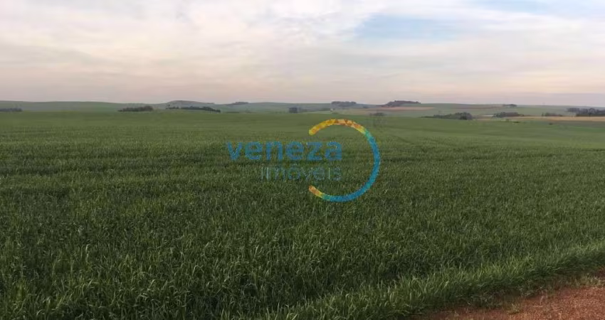 Chácaras_Prop rurais com 1 quarto  à venda, 302500.00 m2 por R$4500000.00  - Nova Amoreira - Marilandia Do Sul/PR