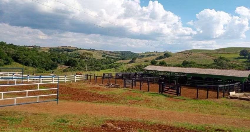 Chácaras_Prop rurais à venda, 6969600.00 m2 por R$35000000.00  - Rural - Nova Tebas/PR