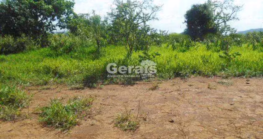 Terreno comercial para alugar no Terra Azul, Divinópolis 