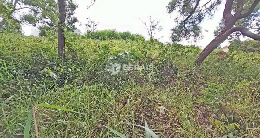 Terreno comercial para alugar no Rancho Alegre, Divinópolis 