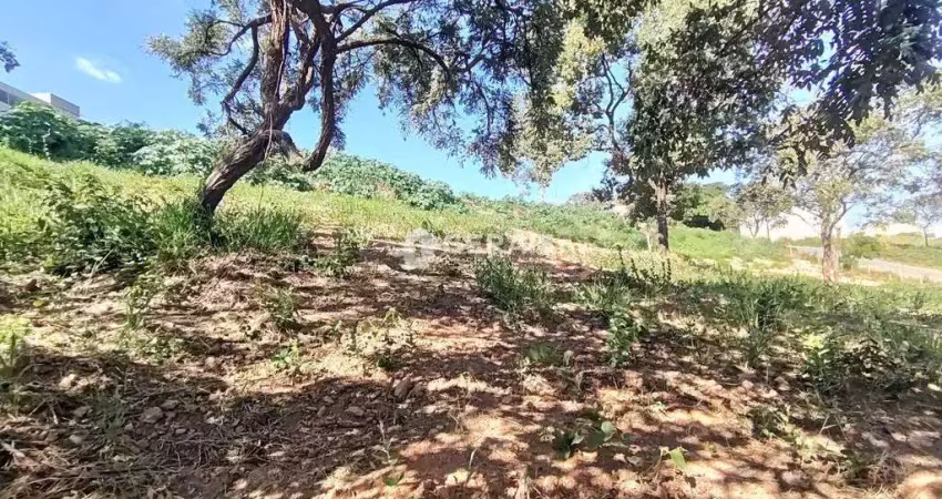 Terreno comercial para alugar no Rancho Alegre, Divinópolis 