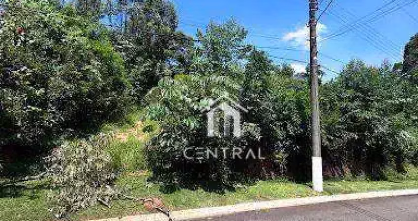 Terreno à venda, 1151 m² por R$ 750.000,01 - Roseira - Mairiporã/SP