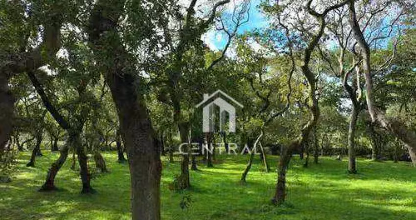 Venda terreno 7.000,00 m² no alto da colina sorocaba  localização privilegiada