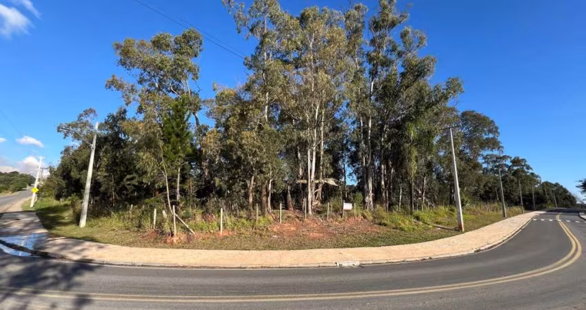 Terreno para Venda em Araucária, Capela Velha