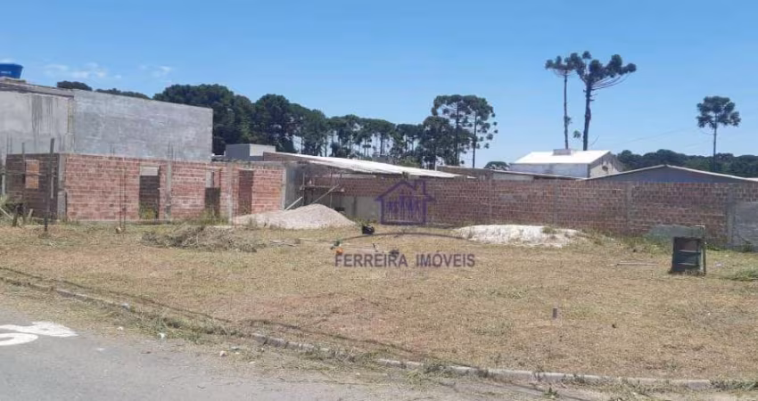 Terreno à venda, 510 m² por R$ 360.000,00 - Rio Pequeno - São José dos Pinhais/PR