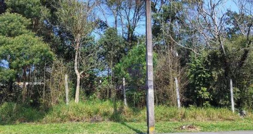 Terreno à venda, 600 m² por R$ 348.000,00 - Cristal - São José dos Pinhais/PR
