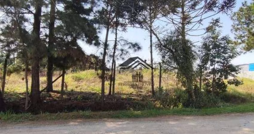 Terreno à venda, 734 m² por R$ 450.000 - Cristal - São José dos Pinhais/PR