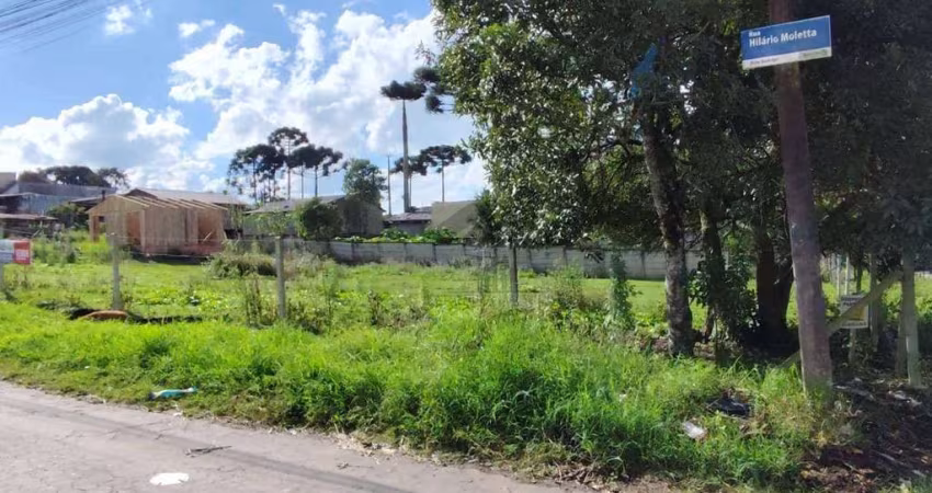Terreno à venda, 432 m² por R$ 210.000 - Dom Rodrigo - São José dos Pinhais/PR