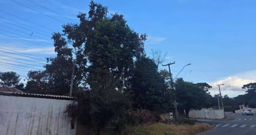 Terreno à venda, 360 m² por R$ 276.000 - Iguaçu - Fazenda Rio Grande/PR