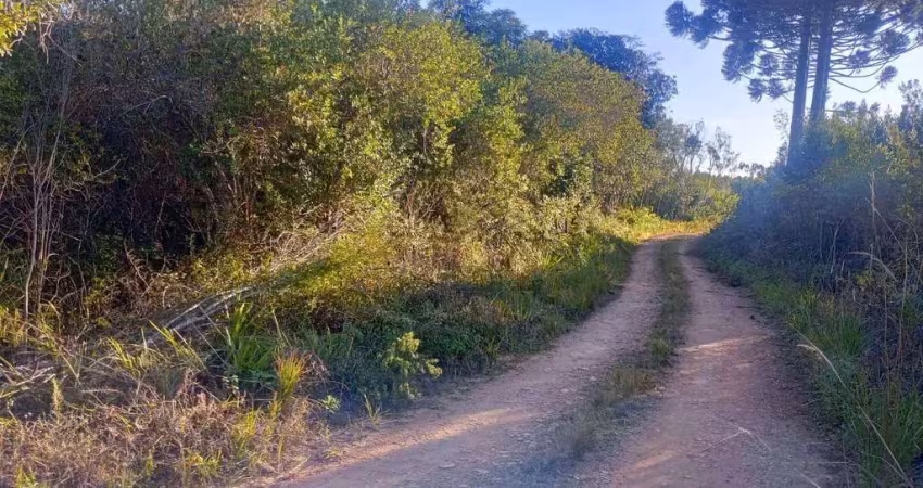 Área à venda, 16086 m² por r$ 170.000 - areia branca dos assis - mandirituba/paraná