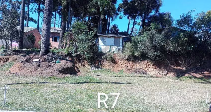 Terreno à venda, 134 m² por r$ 75.000 - santa terezinha - fazenda rio grande/pr