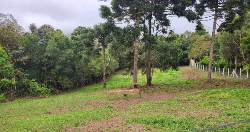 Terreno à venda, 2033 m² por r$ 600.000 - borda do campo - são josé dos pinhais/pr
