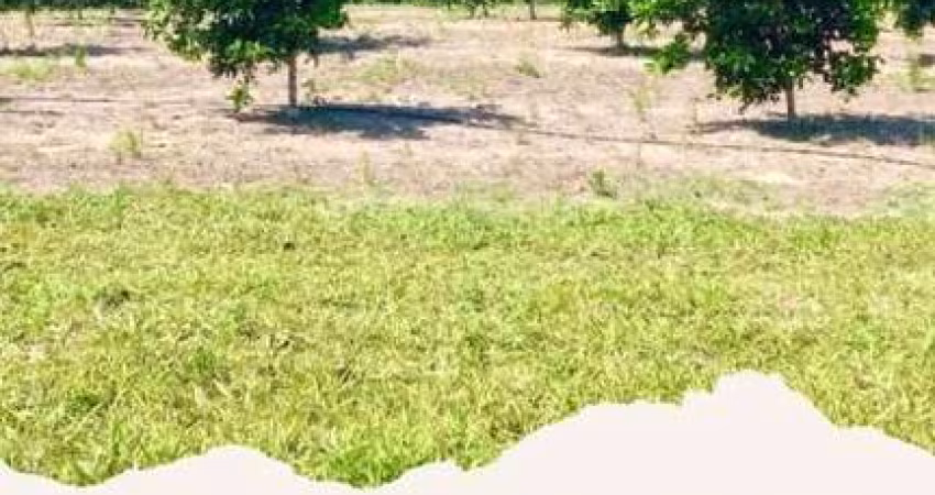 Lindo Sítio com 500.000m² à Venda em Araruama