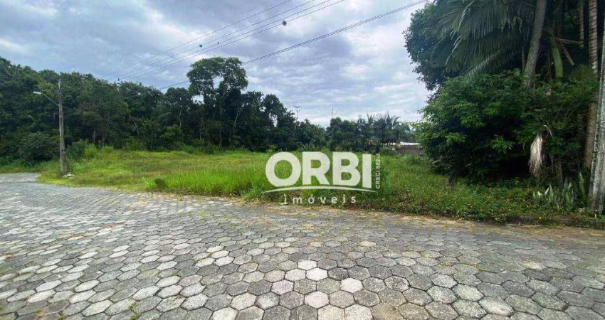 Terreno à venda, 2064 m² por R$ 905.000,00 - Passo Manso - Blumenau/SC
