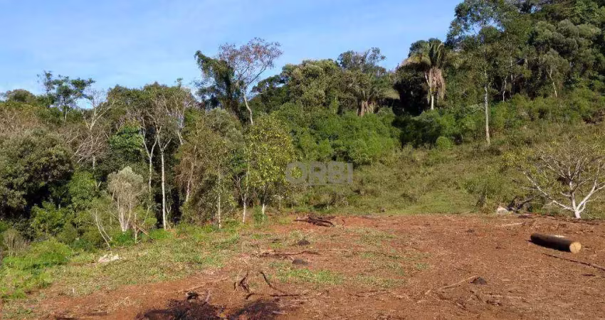 Terreno à venda com 50 hectares por r$ 580.000 - bracinho - apiúna/sc