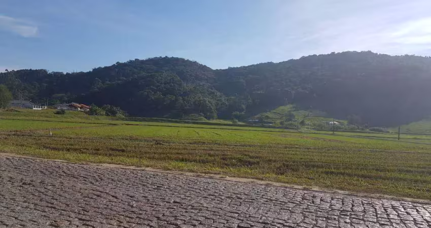 Terreno à venda, 76363 m² por r$ 8.000.000,00 - belchior central - gaspar/sc