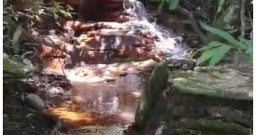 Terreno para Venda em Cocalzinho de Goiás, Zona Rural, 9 dormitórios, 3 suítes, 3 banheiros, 30 vagas