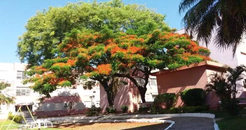 Apartamento para venda - 59.47m², 2 dormitórios, tristeza