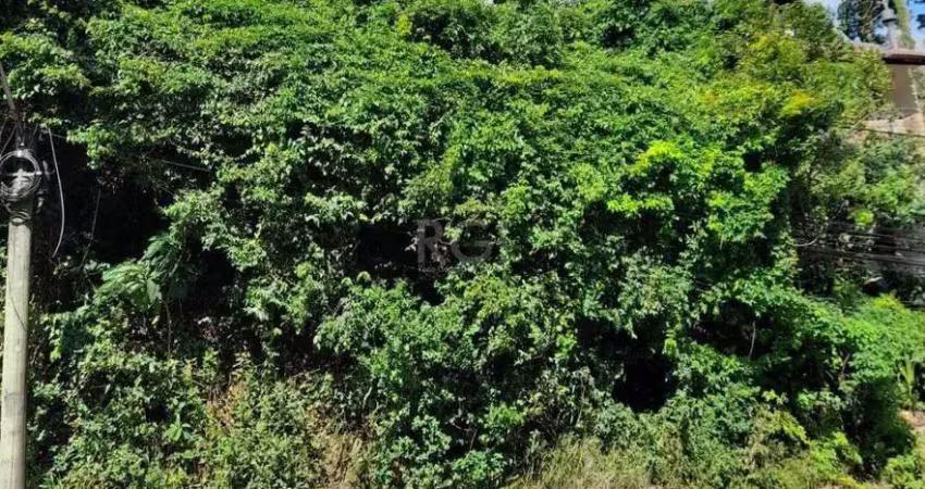 Terreno à venda na Avenida Wenceslau Escobar, 3546, Tristeza, Porto Alegre