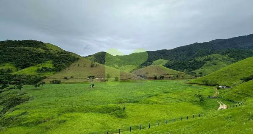 Fazenda a Venda na Serra de Macaé com 400 hectares