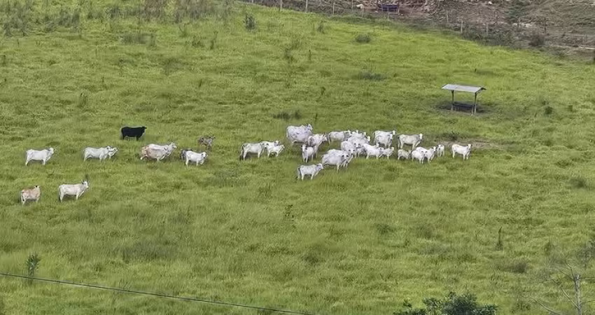 Terreno a ´venda em Mesquita M.G