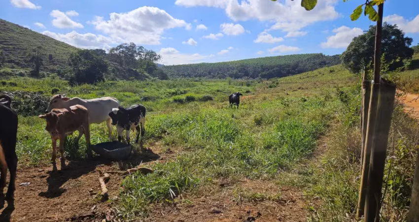 Terreno à venda na Zona Rural, Periquito 