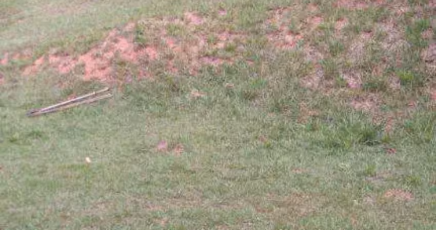 Terreno em condomínio fechado à venda no Colinas do Ermitage (Sousas), Campinas 