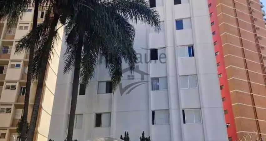 Apartamento com 3 quartos para alugar no Cambuí, Campinas 