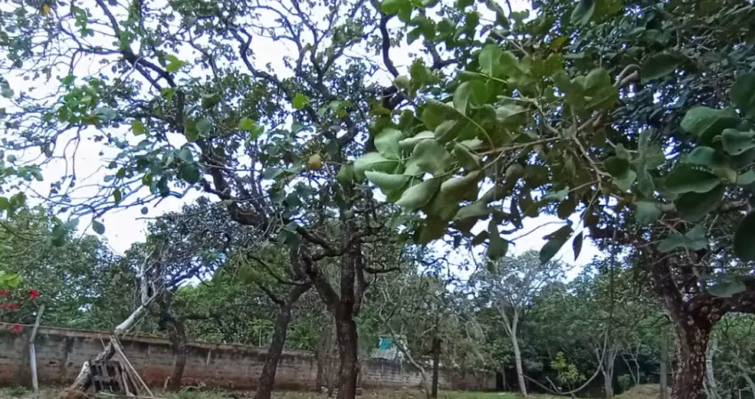 Chácara no bairro recanto do igarapé - 1.000m² - parcialmente murada