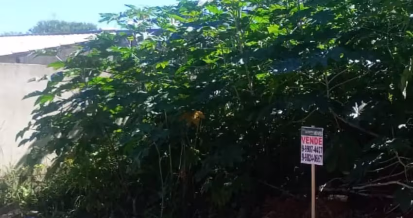 Lote no bairro novo igarapé- murado de 03 lados - escritura registrada