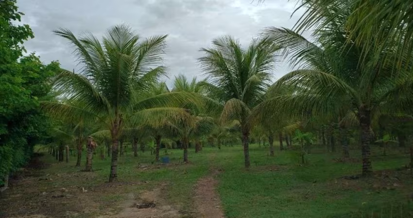 Município de Cuiabá 54.000 m² de area, 104 metros de beira rio Cuiabá por R$ 1.100.000 - Zona Rural - Cuiabá/MT