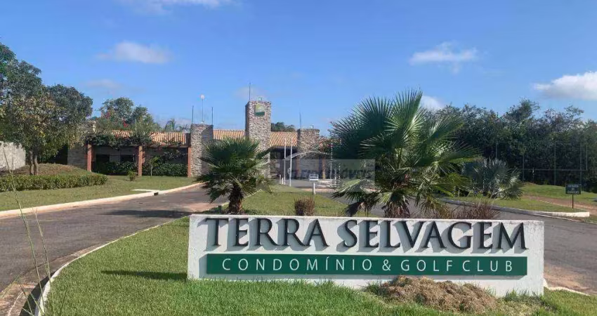 Terreno à venda no condomínio terra selvagem, 1.122 m² por r$ 700.000 - zona rural - cuiabá/mt
