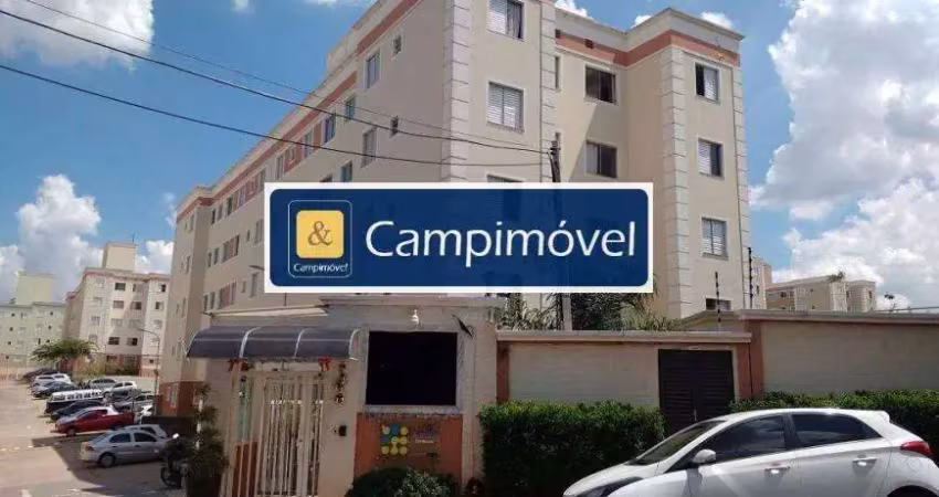 Apartamento para venda em campinas, vila campos sales, 2 dormitórios, 1 banheiro, 1 vaga