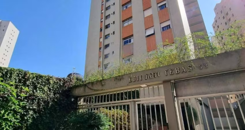 Apartamento com 2 quartos para alugar na Rua Doutor Guilherme da Silva, --, Cambuí, Campinas