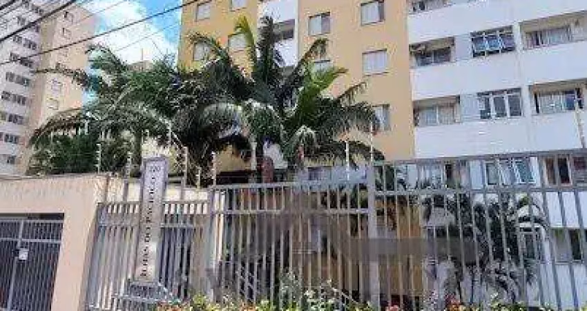Apartamento com 2 quartos para alugar na Rua Francisco Bueno Lacerda, --, Jardim Dom Vieira, Campinas