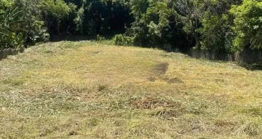 Terreno à venda na Rua José Freitas Amorim, --, Mansões Santo Antônio, Campinas