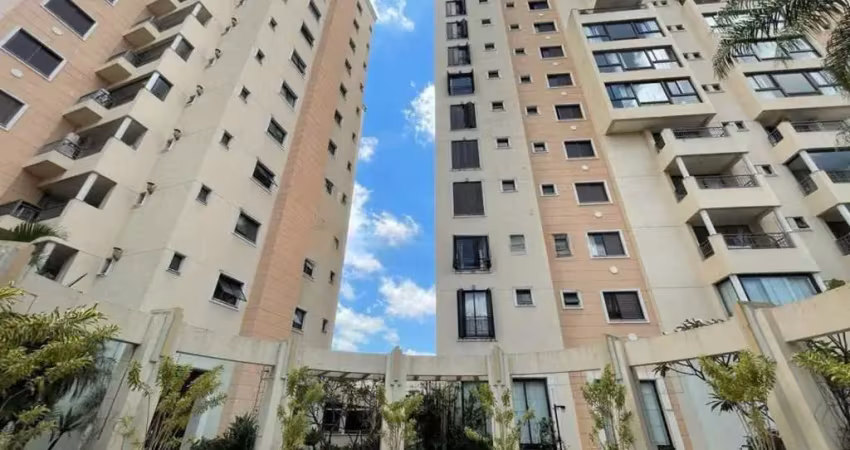 Apartamento com 3 quartos para alugar na Rua Doutor Sampaio Ferraz, --, Cambuí, Campinas