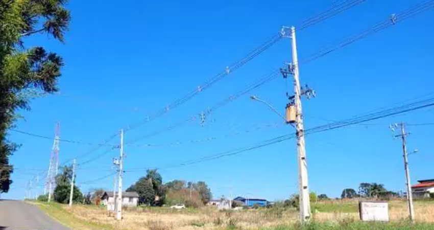 Terreno à venda na Avenida Presidente Ernesto Geisel Lote 10, Colonia Witmarsum, Palmeira