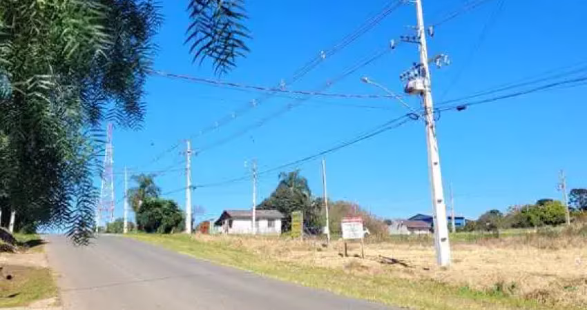 Terreno à venda na Avenida Presidente Ernesto Geisel Lote 07, Colonia Witmarsum, Palmeira