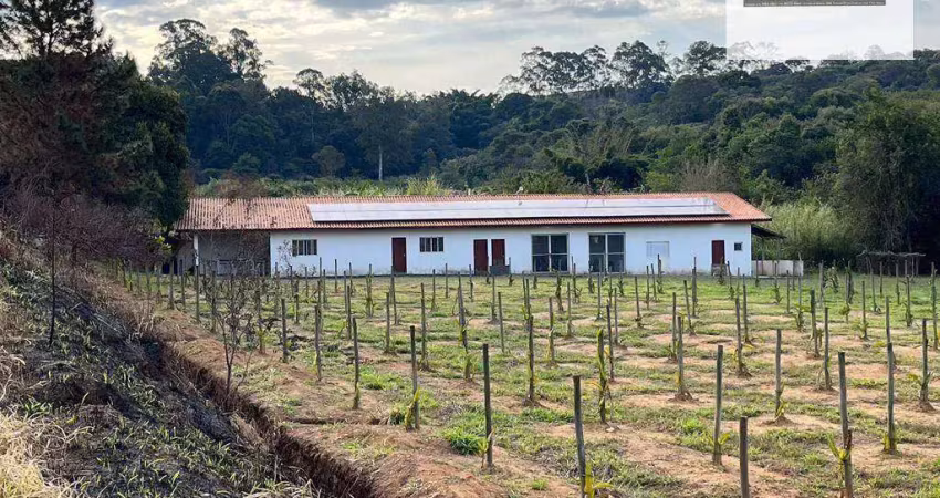 Chácara com 30 dormitórios à venda, 46434 m² por r$ 12.000.000,00 - capuava - valinhos/sp