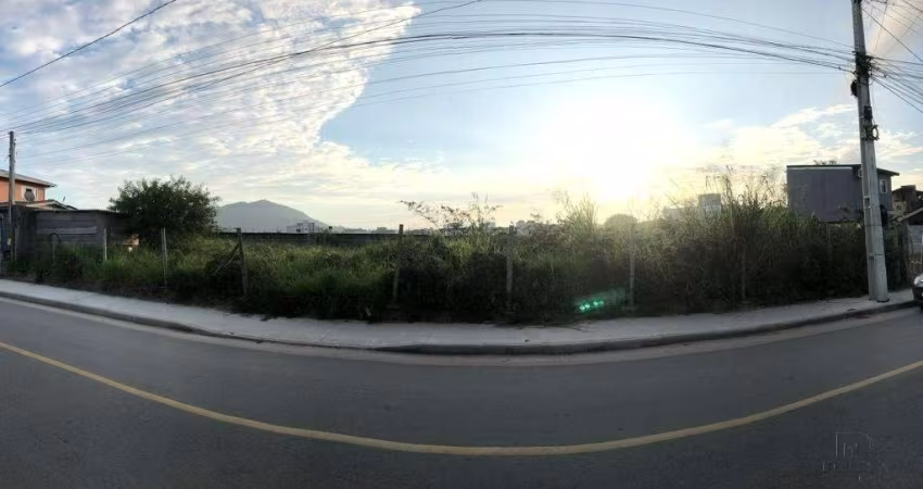 Terreno plano e cercado Campeche - Florianópolis-