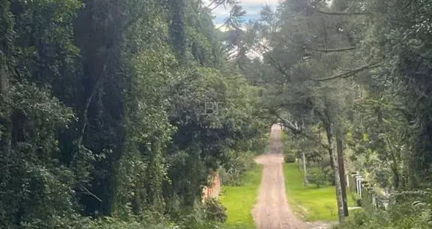 Terreno à venda na Ana Rech, Caxias do Sul 