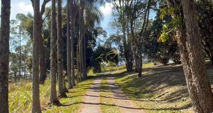 Imóvel rural em bragança paulista com estrutura completa, acesso asfaltado, poço semi-artesiano e alto potencial de valorização.