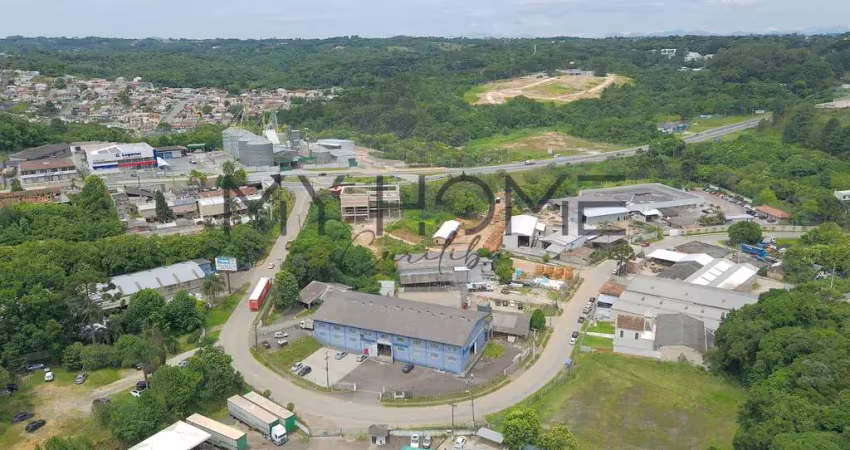 Área com 6.200 m² -   barracão - galpão - deposito - campo magro