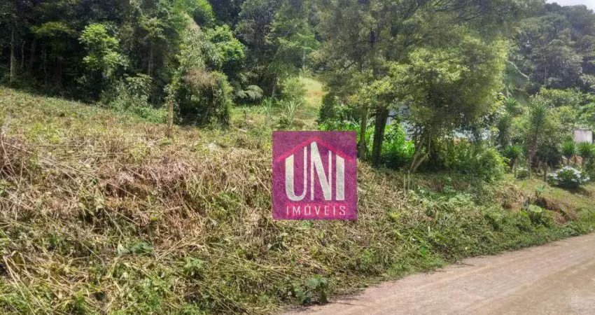 Terreno à venda, 7911 m² por r$ 290.000,00 - chácara santa rita (ouro fino paulista) - ribeirão pires/sp