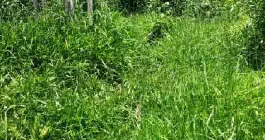 Terreno à venda no Ipiranga, Sapucaia do Sul 
